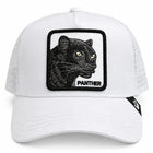 Pantera blanca